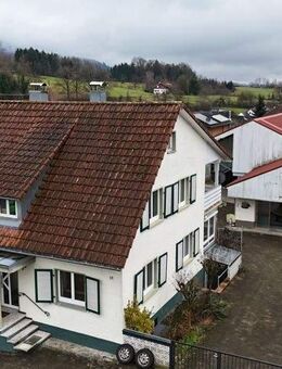 Wohnhaus mit zwei Wohneinheiten & vielseitigem Werkstattgebäude in Hasel - Hasel