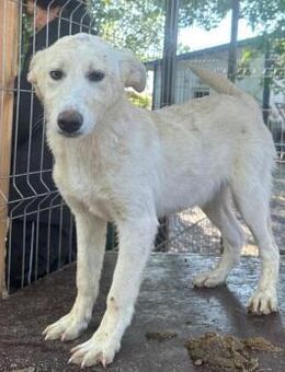 BIANCA ~ ein echter Wirbelwind - Duisburg