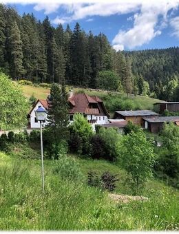 Anwesen in Alleinlage im Schwarzwald mit mehreren Gebäuden - Schiltach