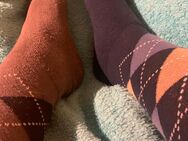 Verschiedene Socken - Hamburg