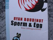Buch - Ryan Boudinot / Sperm & Egg: Eine Liebesgeschichte - Zeuthen