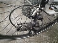 Gut erhaltenes und wenig benutztes Fahrrad mit geringen Gebrauchsspuren. - München