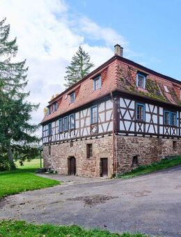 Exklusives Mühlenanwesen mit über 70.000 m² Grundstück Geschichte. Ruhe. Perspektive. - Illingen (Baden-Württemberg)