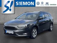 Ford Focus, 1.0 EcoBoost Cool&Connect, Jahr 2018 - Salzbergen