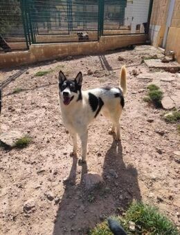 Nissy niemand sieht ihre Schönheit - Berlin