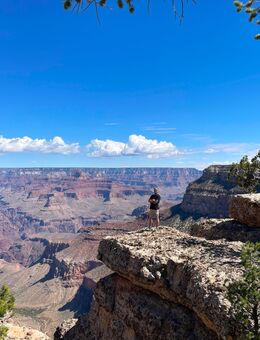 Ich suche eine nette Frau für eine gemeinsame Zeit! - Falkenstein (Vogtland)