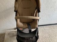 Stokke Kinderwagen - Bonn