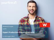 Expert Production Planning (m/w/d) - Vöhringen (Bayern)