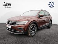 VW Tiguan, 2.0 TDI Life, Jahr 2020 - Uelzen