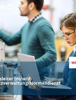Abteilungsleiter (m/w/d) Stammsatzverwaltung/Normendienst - Schwendi