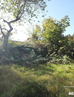 BERK Immobilien - bebautes Bauträgergrundstück + Gartengrundstück in begehrter Main-Lage - Stockstadt (Main)