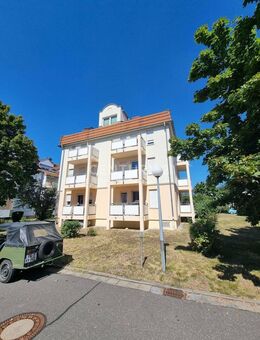 Charmantes Einzimmerapartment mit Balkon - Markranstädt