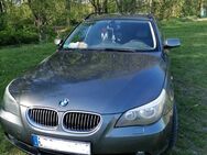 BMW 530d - Gnoien