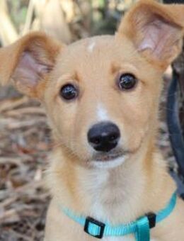 LUKA Ssucht das Glück - Sulzfeld (Baden-Württemberg)