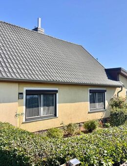 HORN IMMOBILIEN + hübsches Haus bei Woldegk mit großem Grundstück in Randlage, Einbauküche + Garagen - Woldegk
