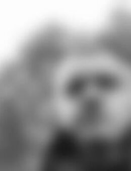 And*** - Georgensgmünd