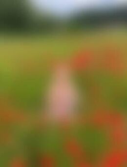 Anj*** - Annaberg-Buchholz