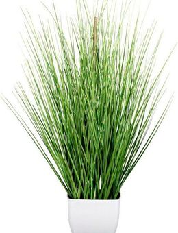 Kunstgras Grasbusch Gras, Creativ green, Höhe 59 cm, im weißen Topf
