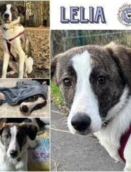 LELIA * offen zutraulich herzlich - Duisburg