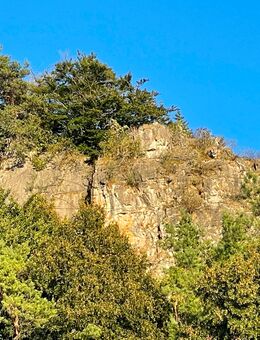Campingplatz in beliebter Urlaubsregion - Eifel, Vollexistenz - Berlin