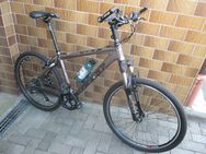 MTB --26 zoll --27 Gänge - Ramstein-Miesenbach