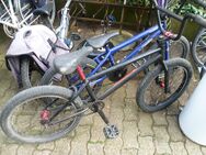 Such für aysil kinderräder roller dringend kids - Neunkirchen (Sand)