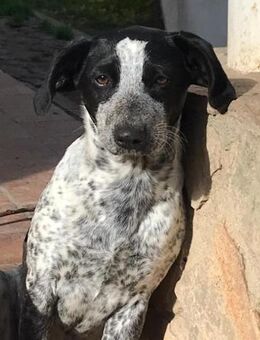 Tamy wer zeigt ihr die große weite Welt? - Laatzen