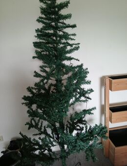 Das nächste Weihnachtsfest kommt bestimmt - Bad Fallingbostel Zentrum
