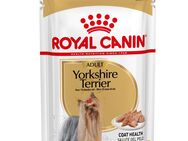 Royal Canin Yorkshire Terrier Adult Mousse - Sparpaket: 24 x 85 g