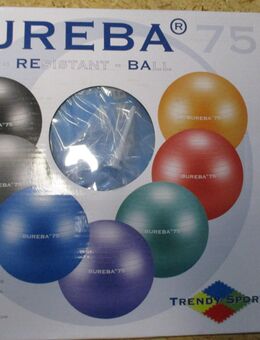 Gymnastikball Bureba 75 cm blau - Reuth (Erbendorf)