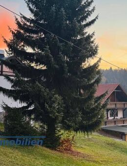 Stark! Idyllisch, ruhig mit schönem Ausblick. - Klingenthal