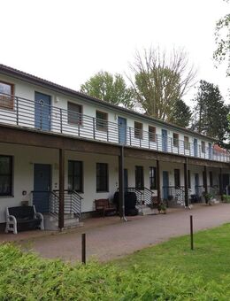 1-Raum-Wohnung in Züssow neu zu vermieten - Züssow