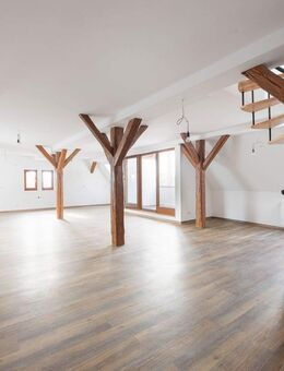 Wohnlandschaft, Flat oder Loft - einfach nur crazy - Bietigheim-Bissingen Bietigheim