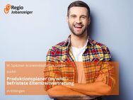 Produktionsplaner (m/w/d) – befristete Elternzeitvertretung - Ettlingen