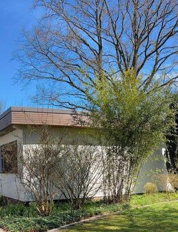 Charmanter Bungalow in Reinbek! - Reinbek