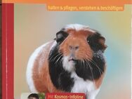 Meerschweinchen Buch von KOSMO - Garbsen