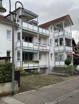 NEU NEU NEU Große 3,5 Zi. Wohnung in guter Lage von Grenzach Wyhlen - Grenzach-Wyhlen