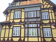 Sonnige 1 Raum-Wohnung - Ilsenburg (Harz)