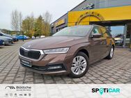 Skoda Octavia, 2.0 TDI Ambition FRONT, Jahr 2021 - Oschersleben (Bode)