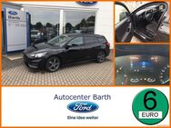 Ford Focus, 2.0 EcoBlue ST-Line, Jahr 2020 - Grimmen