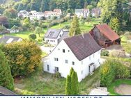 Renovierungsbedürftiges Anwesen mit Einliegerwohnung in ruhiger Lage zwischen Memmingen und Ulm - Balzheim