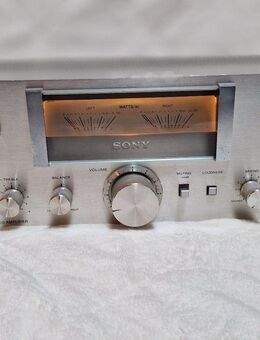 Sony Verstärker aus guter HIFI Zeit Typ TA-313 - ungetestet - Eschenburg