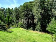 Idyllisches Hanggrundstück mit herrlichem Ausblick! - Pinzberg