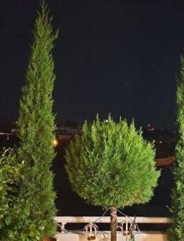 Penthouse-Galerie-Wohnung, in Heilbronn, 5 Zi, mit allem Komfort, Baubiologisch ausgebaut. Zuzügl können bis 6 Garagen dazu gekauft werden. - Heilbronn