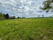 Idyllischer Pferdehof - Perfektes Paradies für Reitsportliebhaber - Mietingen