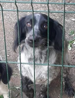 Shanti - Mönchengladbach