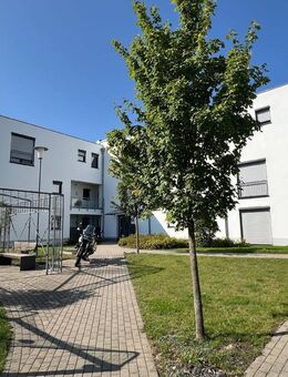 Top-Lage am Kugelberg: 3-Zimmer-Wohnung im Hochparterre - Gießen