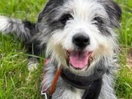 GRETA sucht aktive Lieblingsmenschen - Sehnde