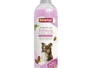 beaphar Hunde Shampoo zur Entfilzung - 2 x 250 ml
