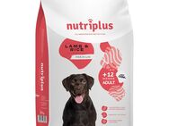 2-fach zooPunkte auf Nutriplus Trockenfutter - Adult Lamm 3 kg
